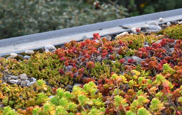 the cost of Kippilaw green roof installation